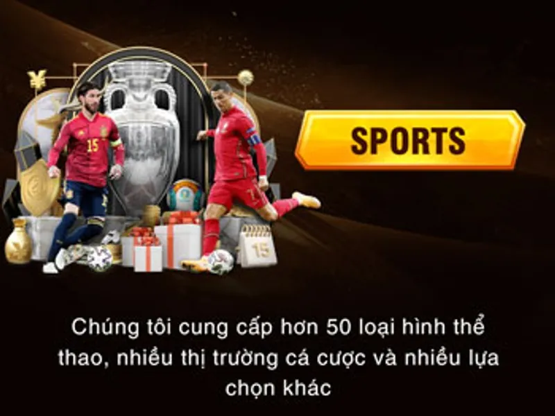 Cá cược thể thao g666 win